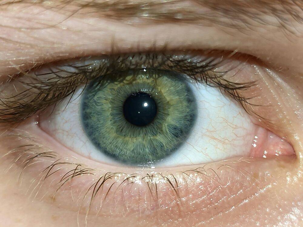 EMDR Therapy