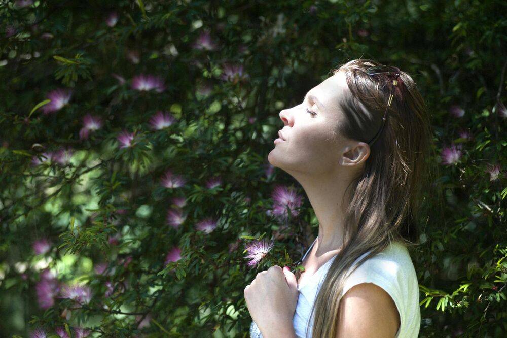 Mental Health and Healing